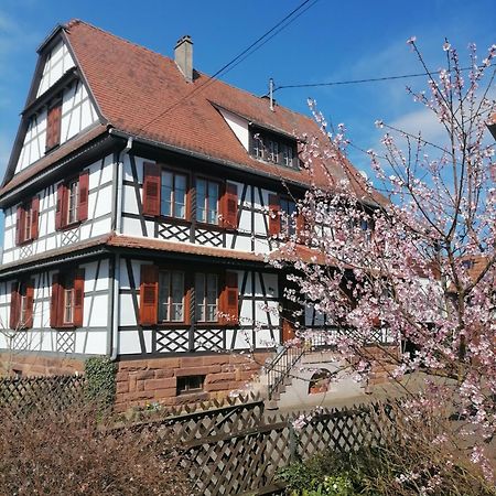 Appartement Et Terrasse Privee Ingolsheim Kültér fotó