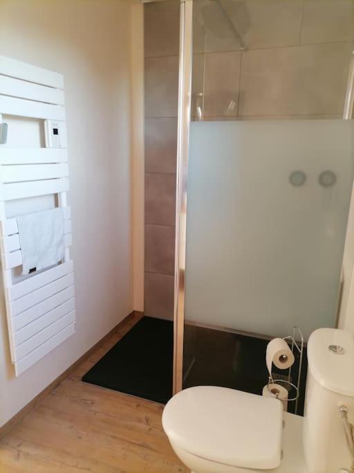 Appartement Et Terrasse Privee Ingolsheim Kültér fotó