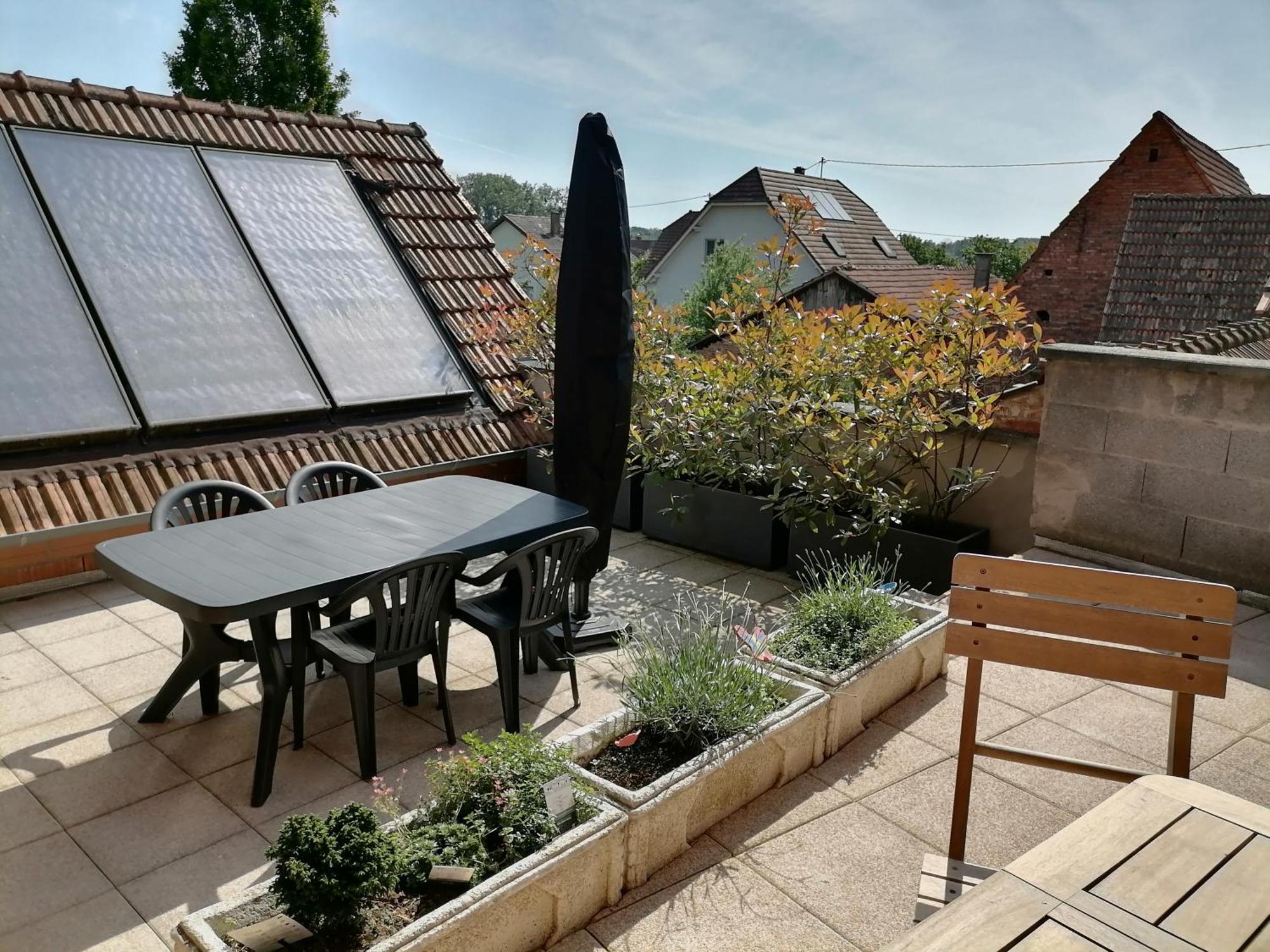 Appartement Et Terrasse Privee Ingolsheim Kültér fotó