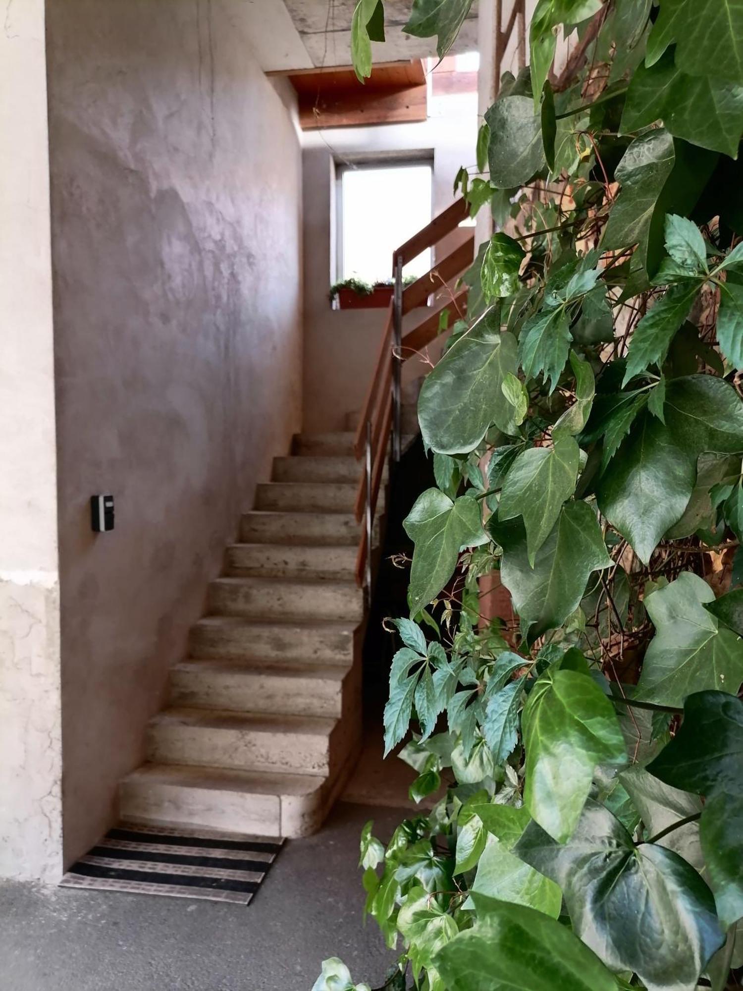Appartement Et Terrasse Privee Ingolsheim Kültér fotó