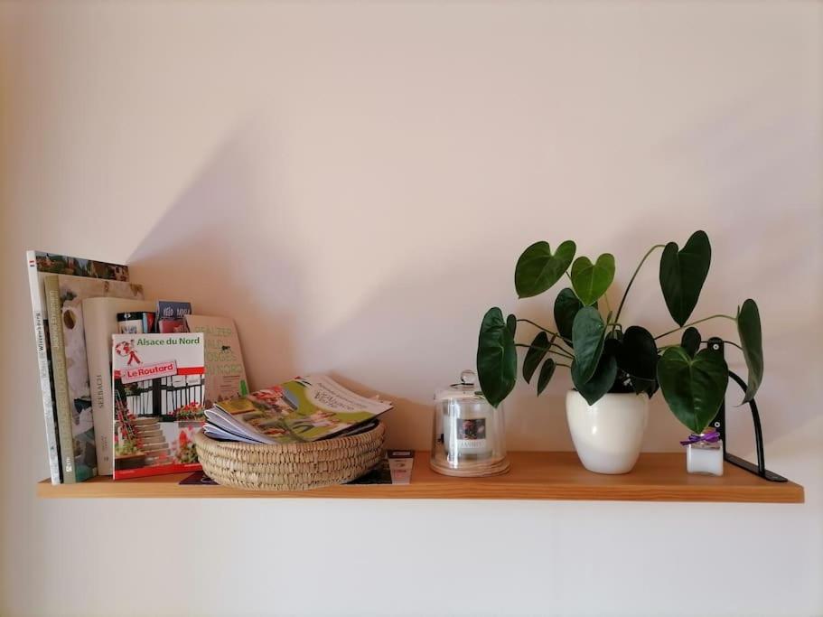 Appartement Et Terrasse Privee Ingolsheim Kültér fotó