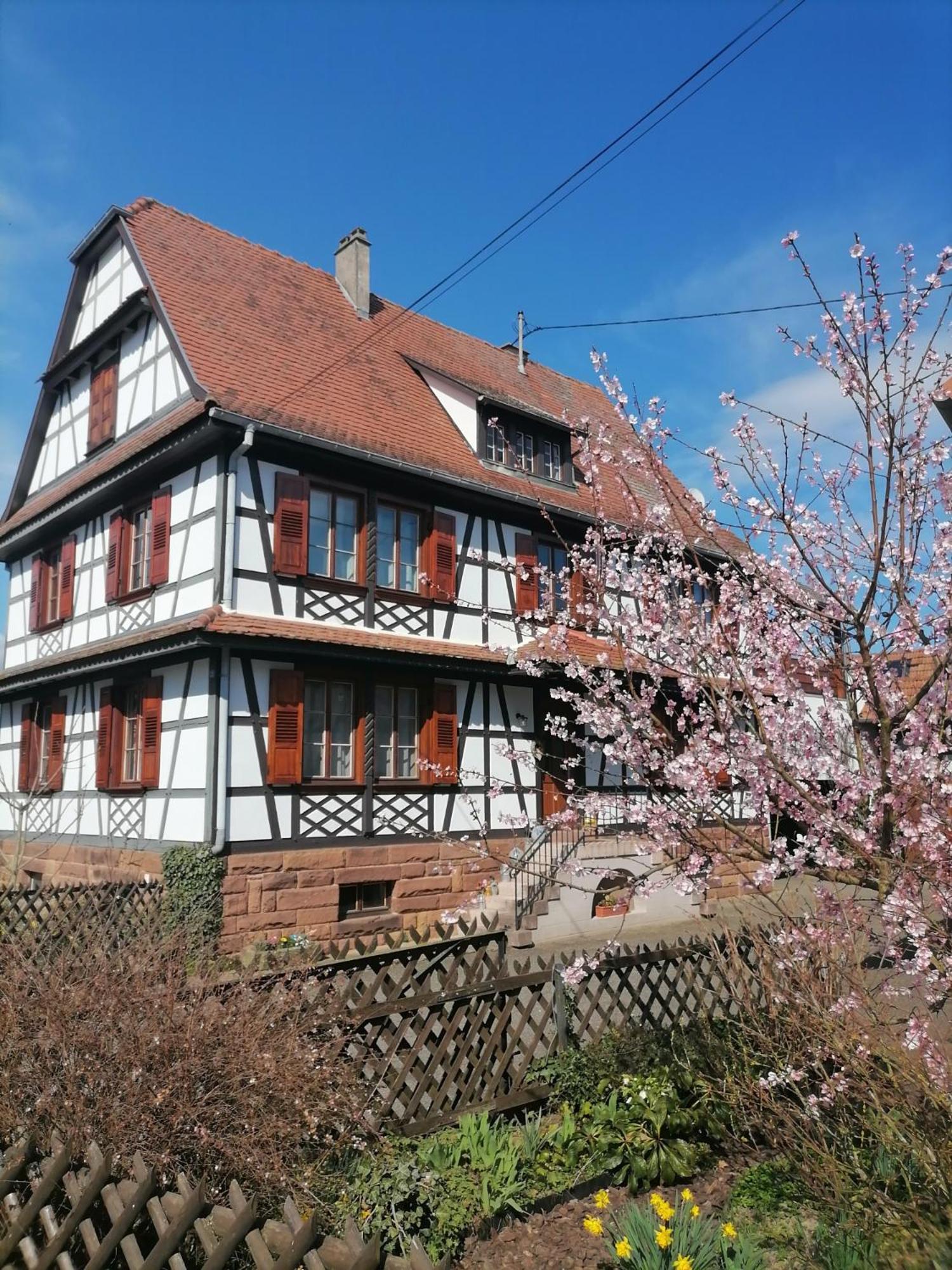 Appartement Et Terrasse Privee Ingolsheim Kültér fotó